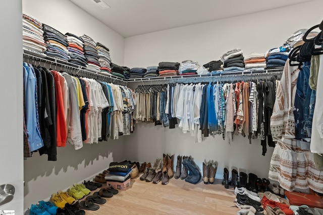 walk in closet featuring wood finished floors