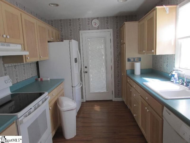 kitchen featuring a sink, wood finished floors, white appliances, under cabinet range hood, and wallpapered walls