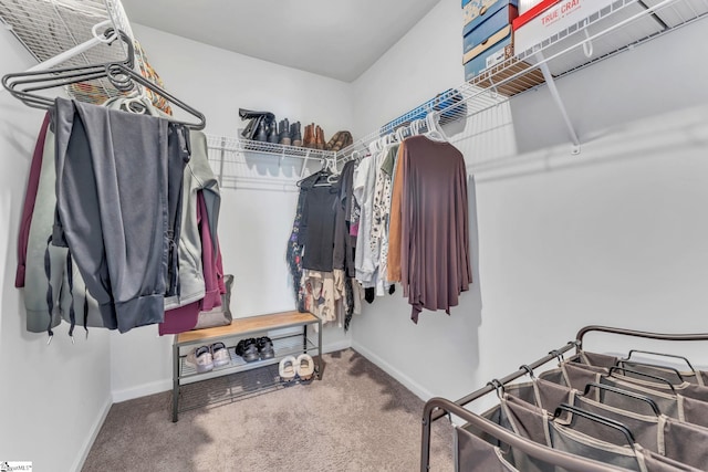 spacious closet with carpet flooring