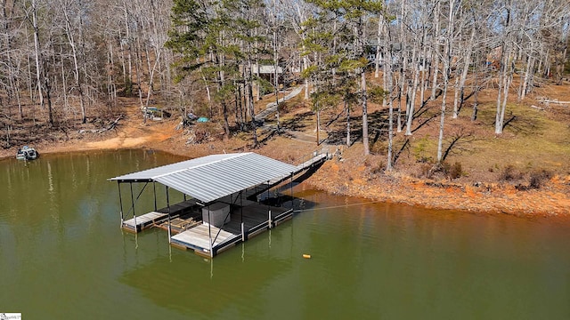 dock area with a water view