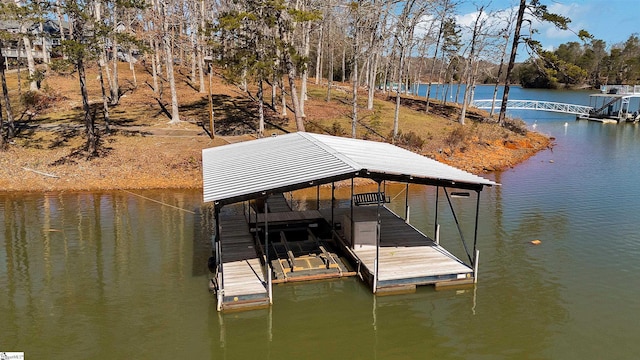 dock area with a water view