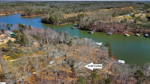 bird's eye view with a water view and a view of trees