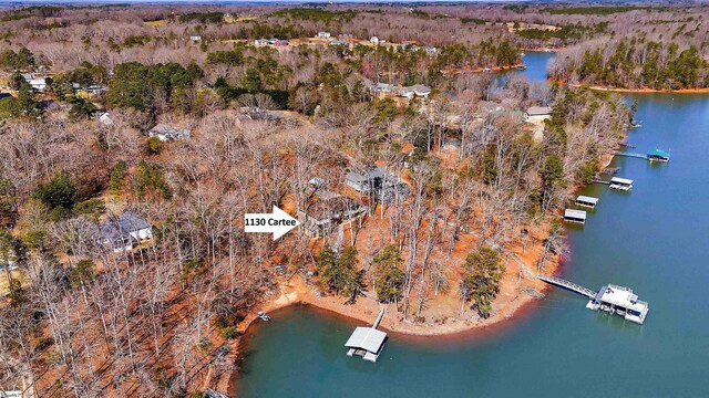 bird's eye view with a water view and a wooded view