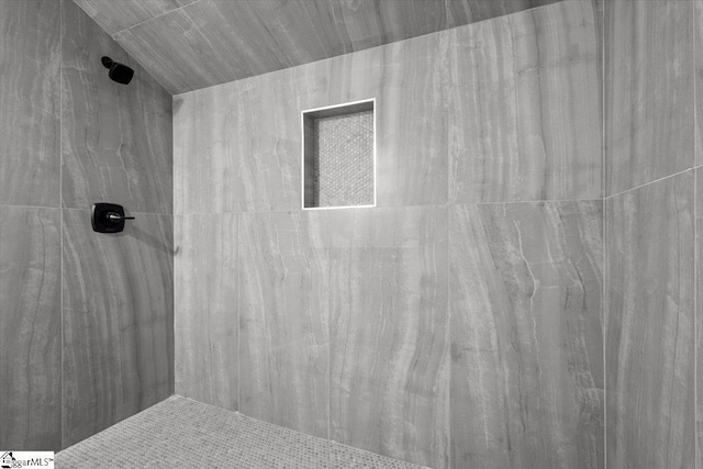 interior details with tiled shower