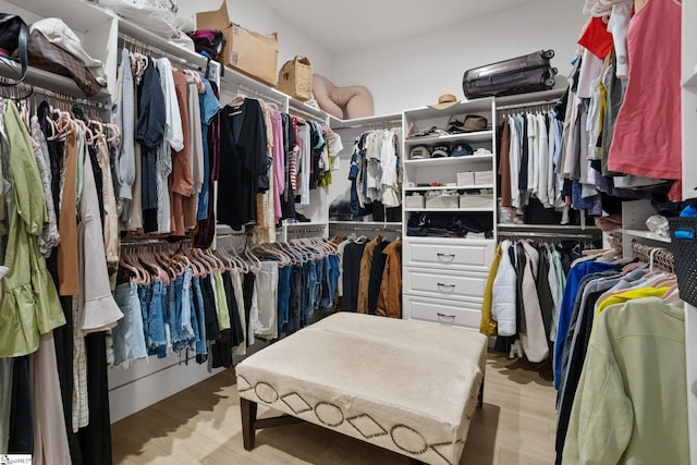 spacious closet featuring wood finished floors