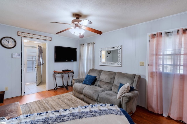 living room with a textured ceiling, plenty of natural light, and crown molding