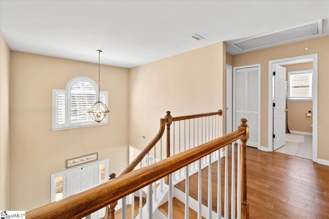 hallway featuring a healthy amount of sunlight, wood finished floors, an upstairs landing, and attic access