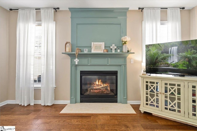 details featuring baseboards, wood finished floors, and a glass covered fireplace