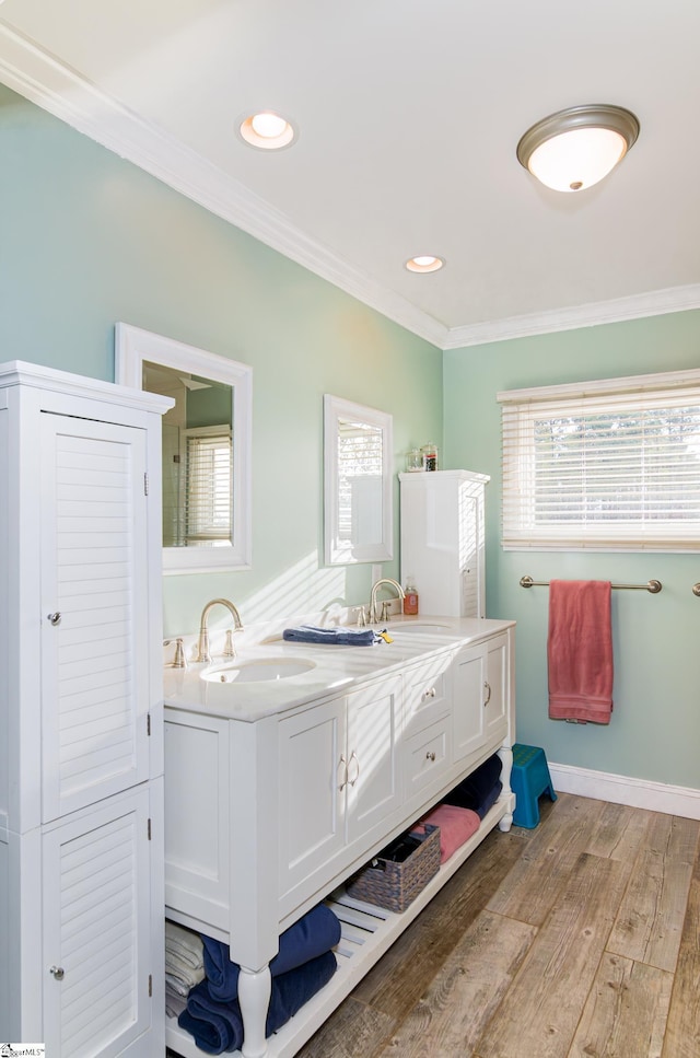 bathroom featuring wood finished floors, double vanity, ornamental molding, and a sink