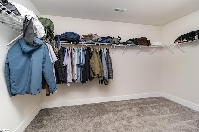 spacious closet with carpet floors and visible vents