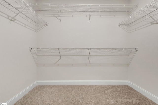 spacious closet with carpet floors