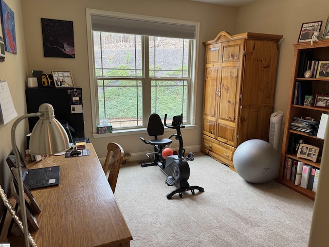 home office with carpet and baseboards