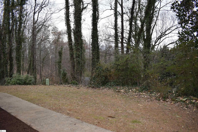 view of yard featuring a view of trees