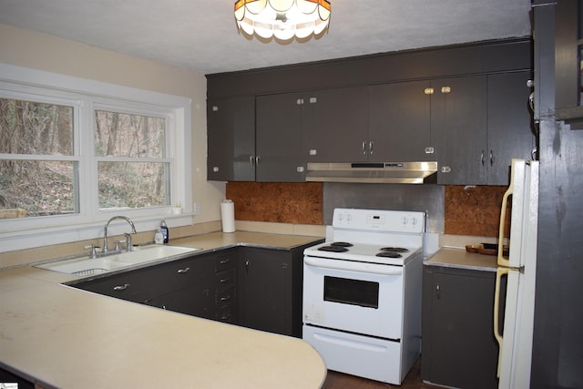 kitchen featuring under cabinet range hood, white appliances, a sink, and light countertops