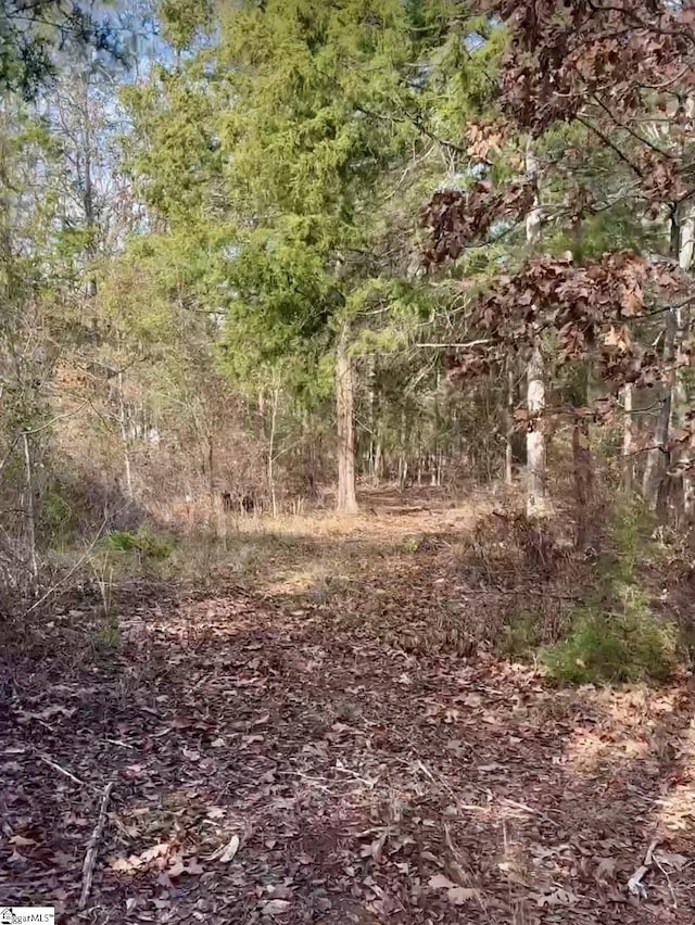 00 Mount Lebanon Rd, Pauline SC, 29374 land for sale