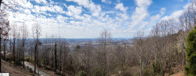 property view of mountains with a view of trees