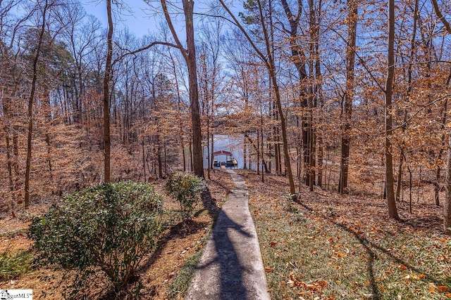 view of road featuring driveway and a view of trees