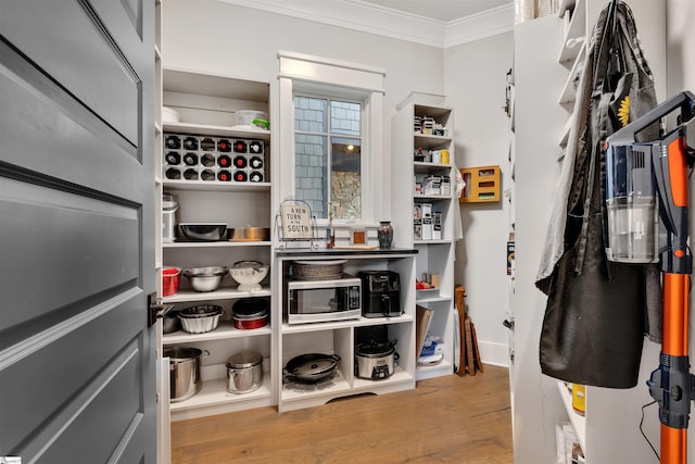 spacious closet featuring wood finished floors