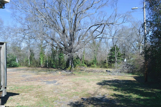 612 W Main St, Easley, SC 29640 - view of yard with a forest view