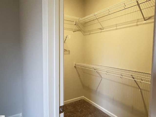 walk in closet with dark carpet