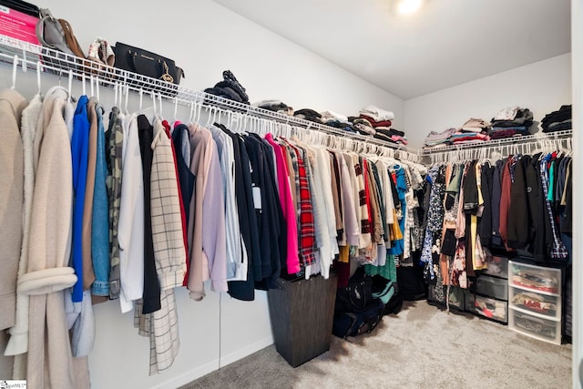 spacious closet with carpet flooring