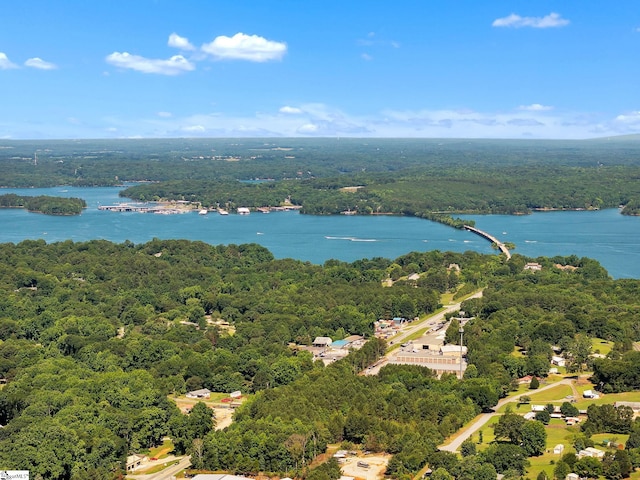 birds eye view of property featuring a water view and a wooded view