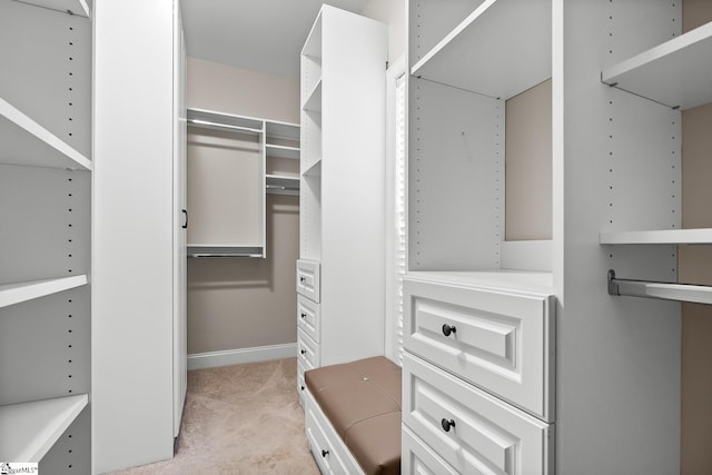 spacious closet featuring light carpet