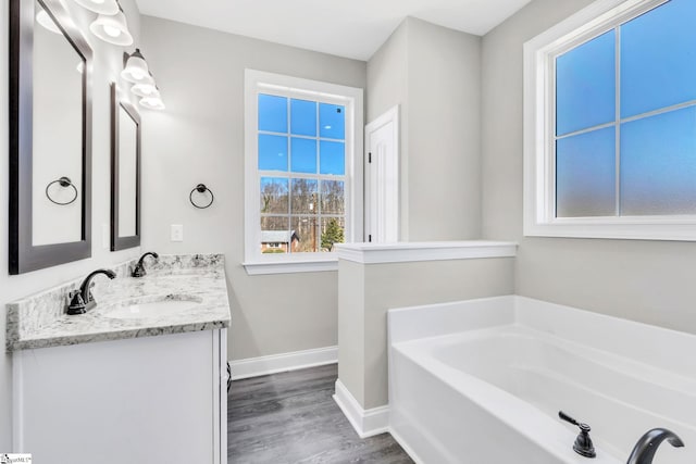 bathroom with a garden tub, a sink, wood finished floors, baseboards, and double vanity