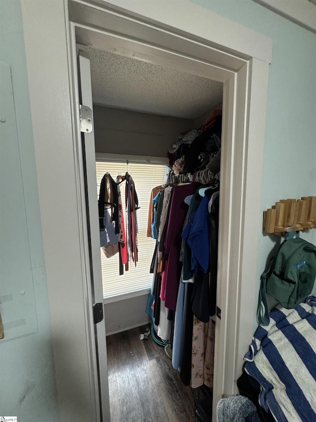 walk in closet featuring wood finished floors