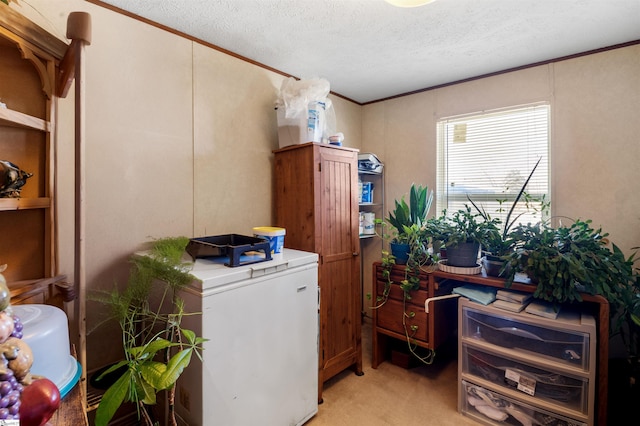 clothes washing area with crown molding, a textured ceiling, and light colored carpet