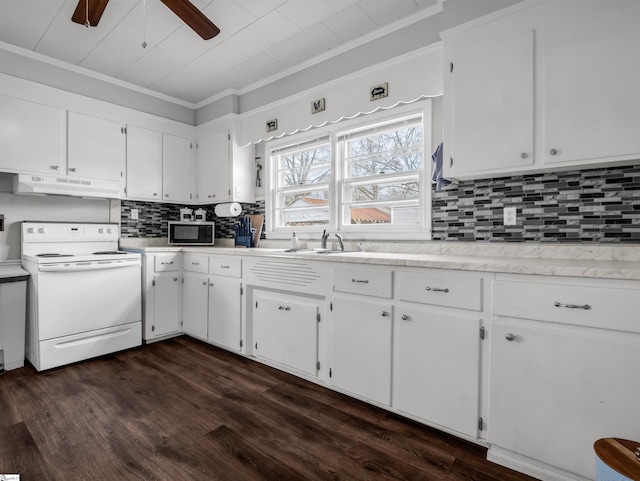 kitchen featuring white electric range, crown molding, under cabinet range hood, and a sink