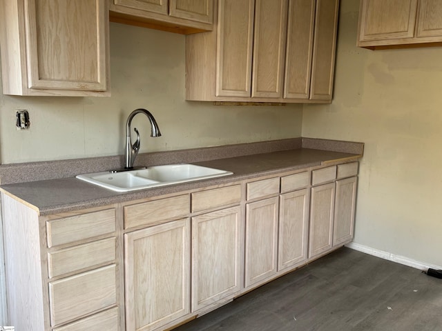 kitchen featuring light brown cabinets and a sink