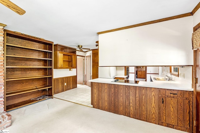 kitchen with ceiling fan, black electric stovetop, light colored carpet, brown cabinetry, and crown molding