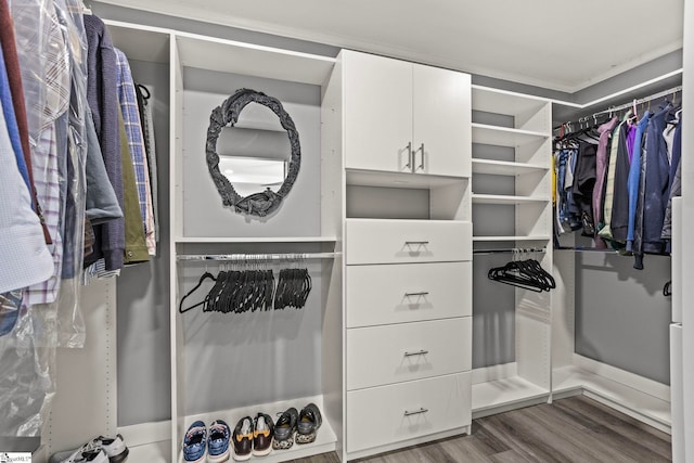 walk in closet featuring wood finished floors