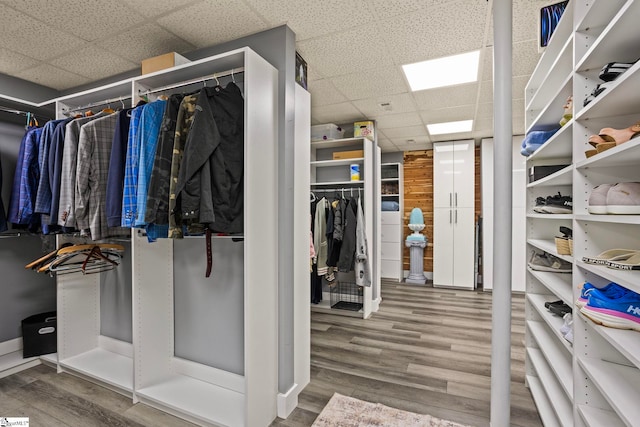 walk in closet featuring a drop ceiling and wood finished floors