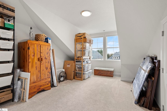 interior space featuring baseboards and carpet floors