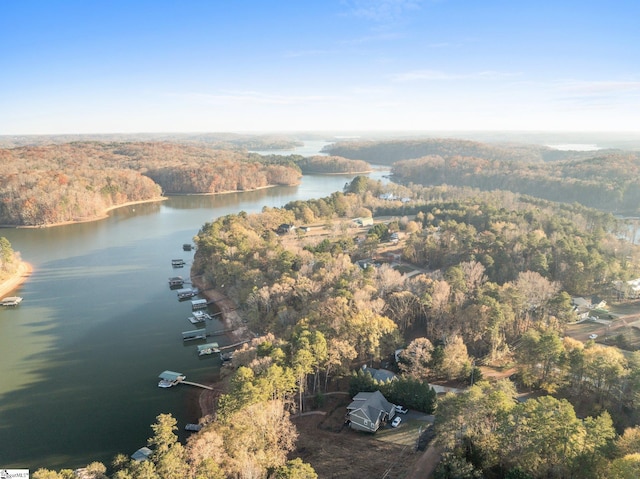 drone / aerial view featuring a water view and a wooded view