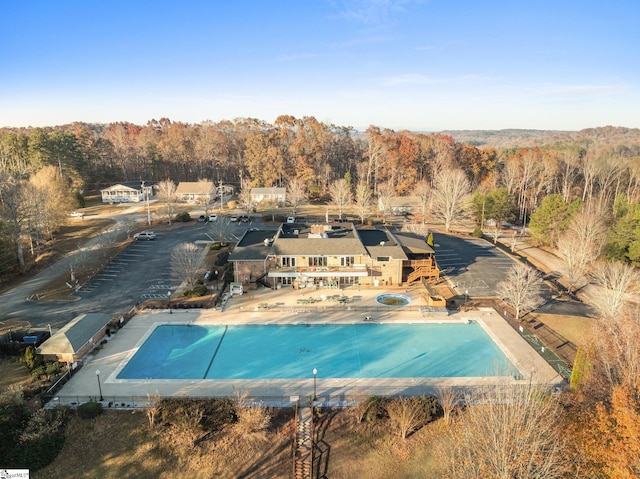 pool with a forest view and a patio area