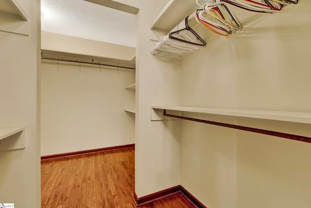spacious closet featuring wood finished floors