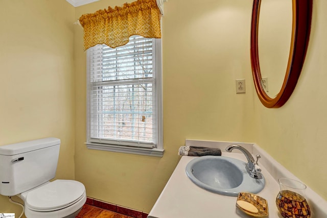 bathroom with toilet and vanity