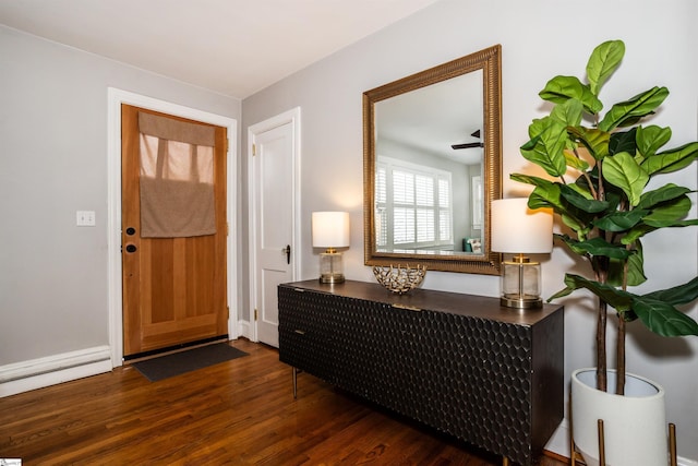 foyer entrance with dark wood-style flooring