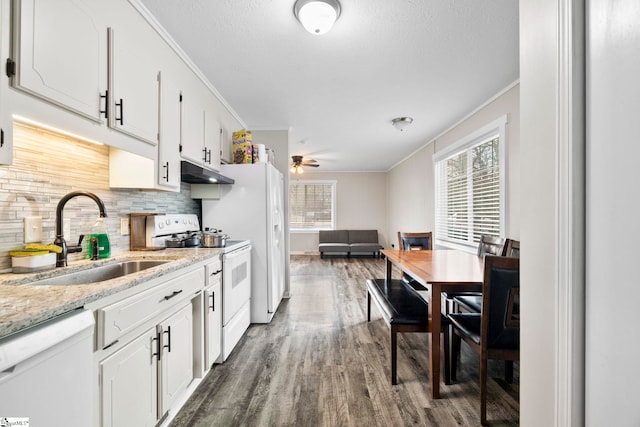 kitchen featuring crown molding, tasteful backsplash, a sink, white appliances, and under cabinet range hood