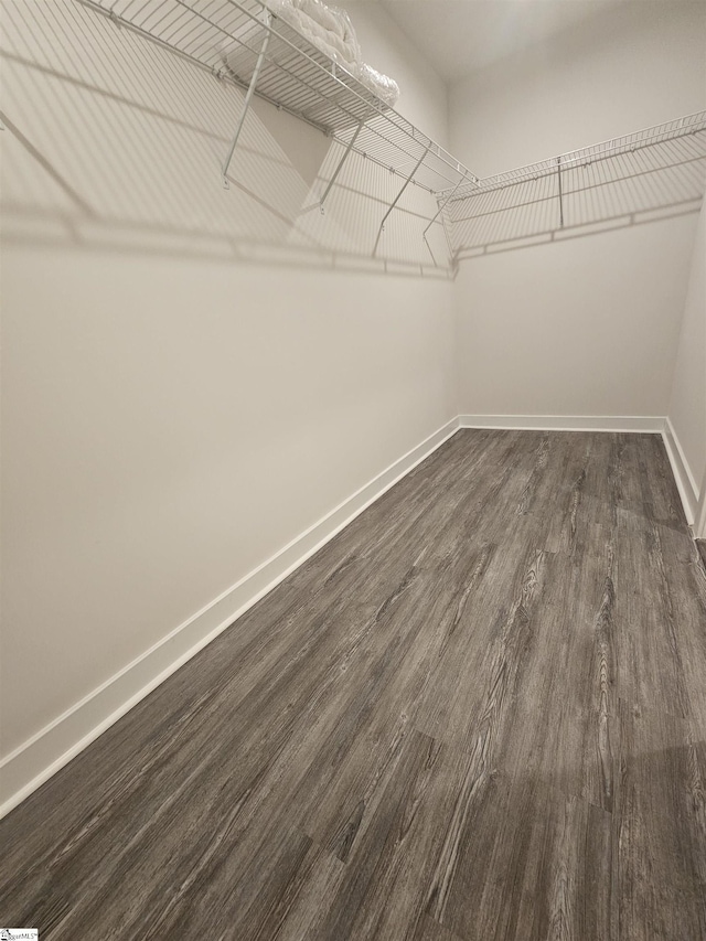 walk in closet featuring dark wood-style floors