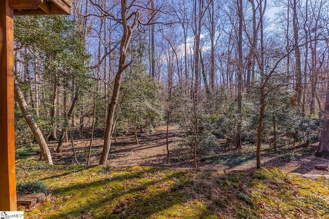 view of yard featuring a forest view