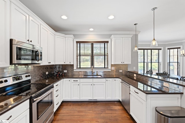 kitchen featuring stainless steel appliances, ornamental molding, a healthy amount of sunlight, a sink, and a peninsula