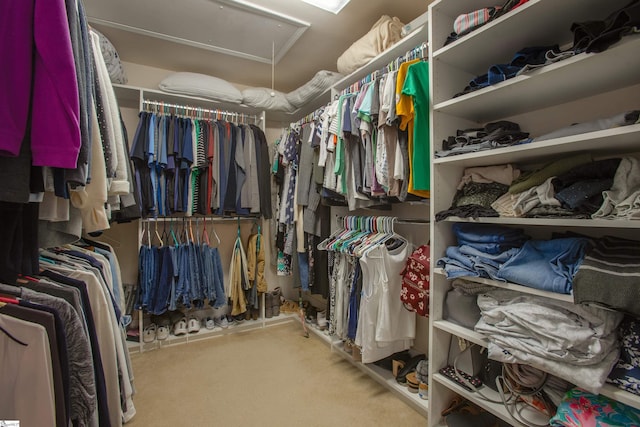 walk in closet with carpet floors and attic access