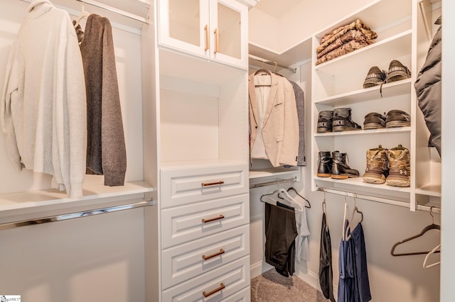 spacious closet featuring carpet flooring