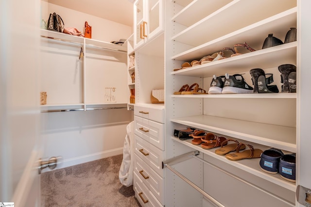 walk in closet featuring carpet floors