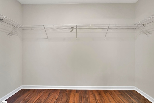 spacious closet with dark wood-style flooring