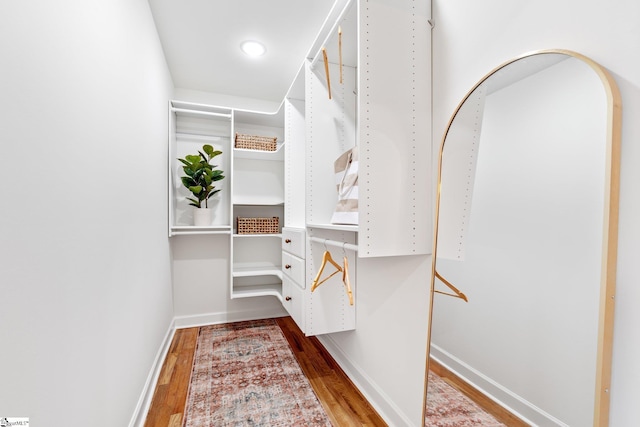 walk in closet featuring wood finished floors